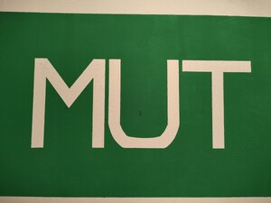 Das Plakat vom Verein M.U.T., grüner Hintergrund und sehr eckige Großbuchstaben MUT