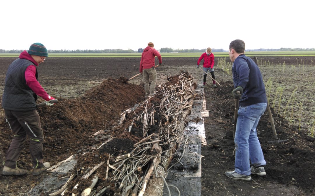 Pilzworkshops am 11., 12. & 13.04.2017